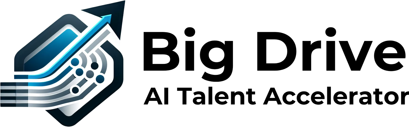 ビッグドライブ株式会社